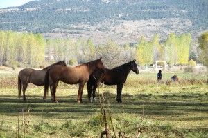 excursiones guiadas por virgen vega
