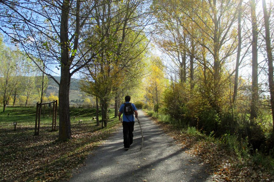 excursiones guiadas por virgen vega