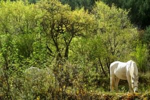 excursiones guiadas por virgen de la vega