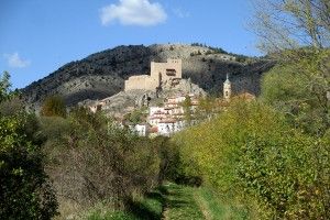 excursiones guiadas por alcala selva