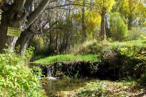 excursiones guiadas por alcala selva