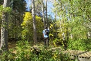 excursiones guiadas por virgen vega