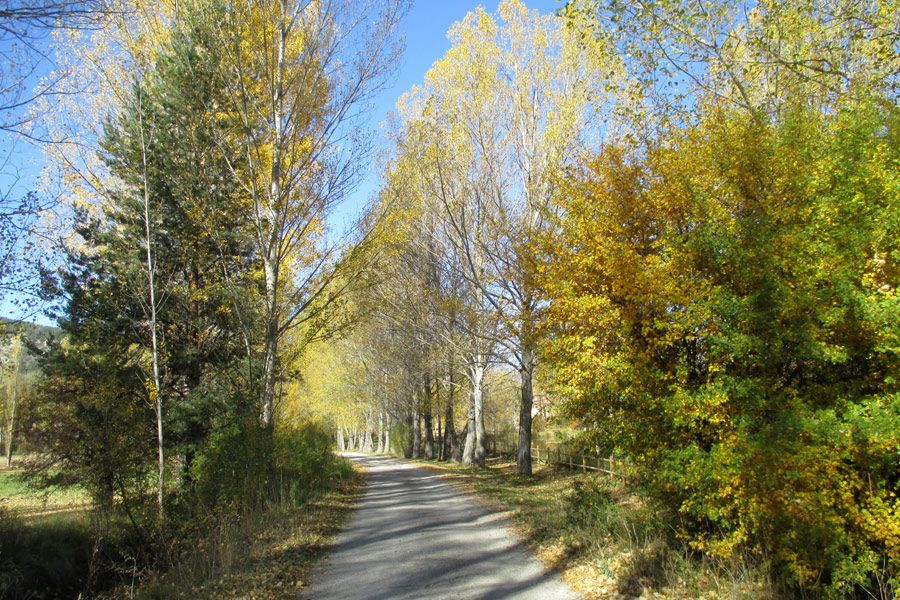 excursiones guiadas por virgen vega