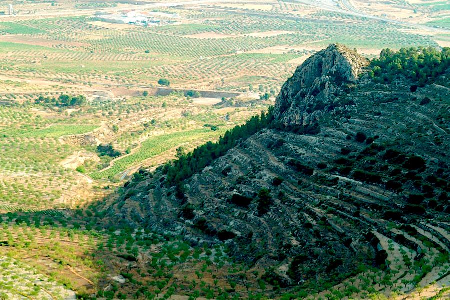 visitas guiadas de vinos