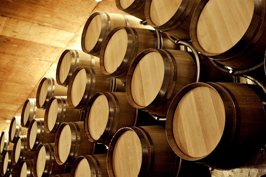 visitas guiadas de vinos