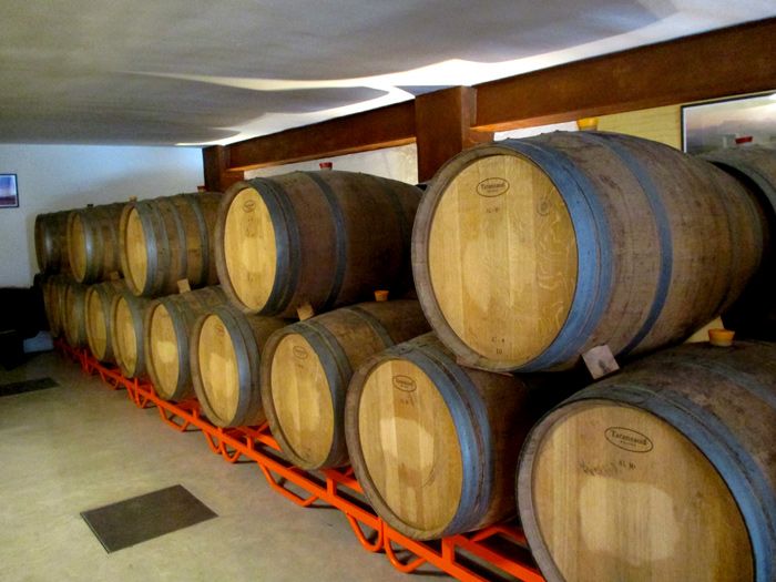 bodegas antonio arraez
