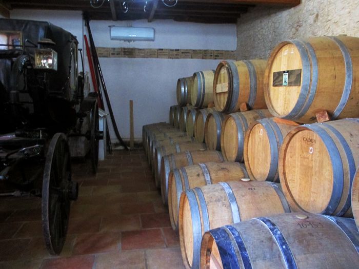 bodegas los pinos