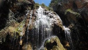 poza de fuen narices cascada hiedra