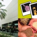 muvim jornada solidaria casa caridad