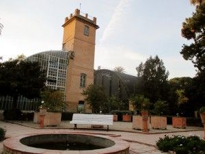 visitar jardin botanico valencia
