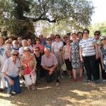 canet lo roig visitas guiadas olivos milenarios excursiones una jornada