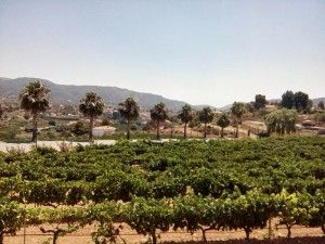 turismo los serranos chelva calles exxcursion una jornada