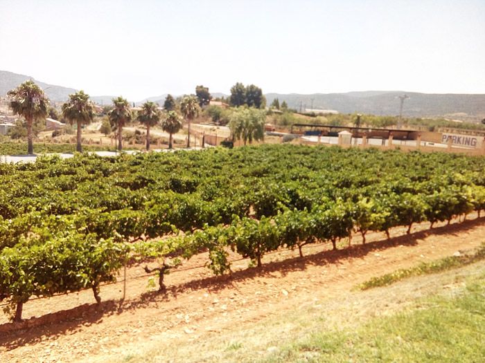  turismo los serranos chelva calles exxcursion una jornada