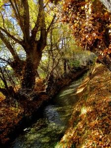 excursiones una jornada mediterraneo interior adzucats