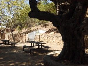 sabor a naquera 2016 evento gastronomico adzucats