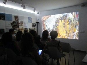 naquera turismo gastronomia