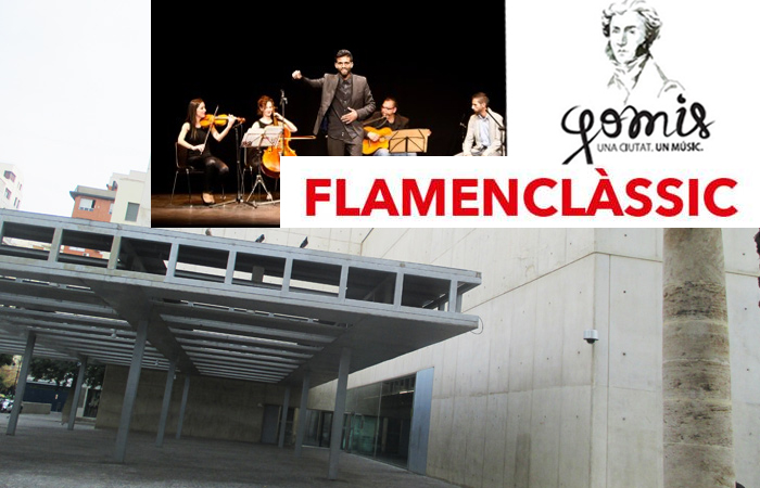 flamenclassic muvim concierto