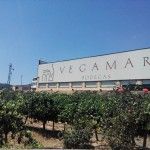 turismo los serranos excursion una jornada bodegas vegamar