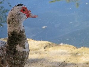 turismo anna-antella visitas guiadas excursiones un dia