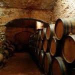 turismo cultural terres alforins excursiones grupos una jornada adzucats
