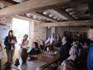 terres alforins vinos do valencia turismo enocultural adzucats excursiones en grupo