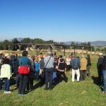 terres alforins vinos do valencia turismo enocultural adzucats excursiones en grupo