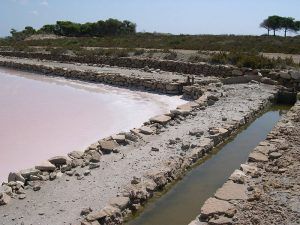 excursiones en grupo santa pola turismo cultural adzucats