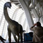museo ciencias exposiciones els nostres dinosaures