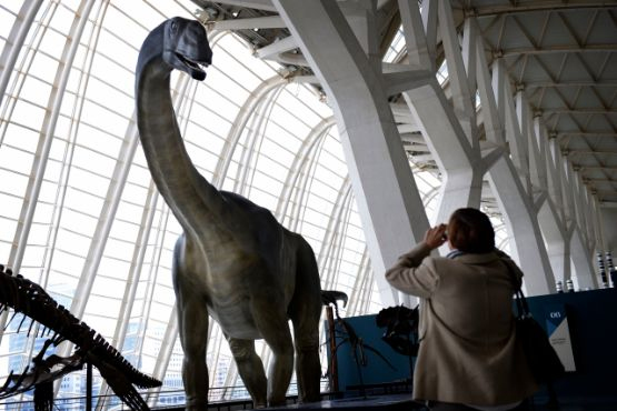 museo ciencias exposiciones els nostres dinosaures