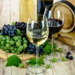 cursos-cata-novedades tematicas vinos-do-valencia-2017