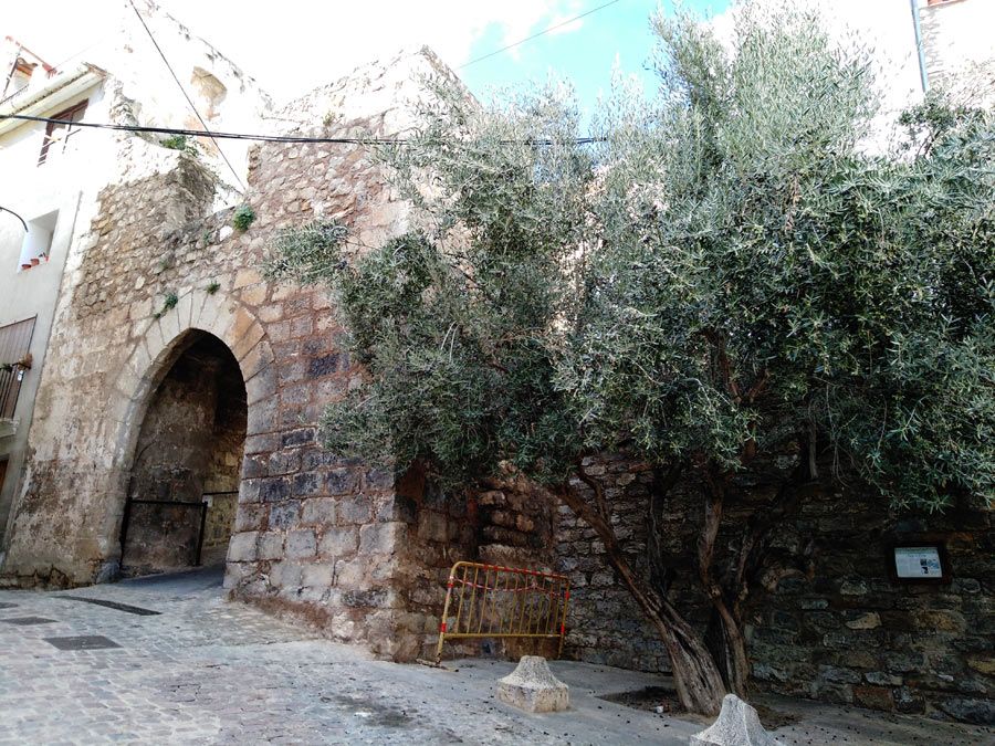 Jerica-&-Caudiel--(26)