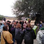 La jornada gastroculTural de otoño 2019 de El Arte de los olivos milenarios: Terres del Maestrat de ...