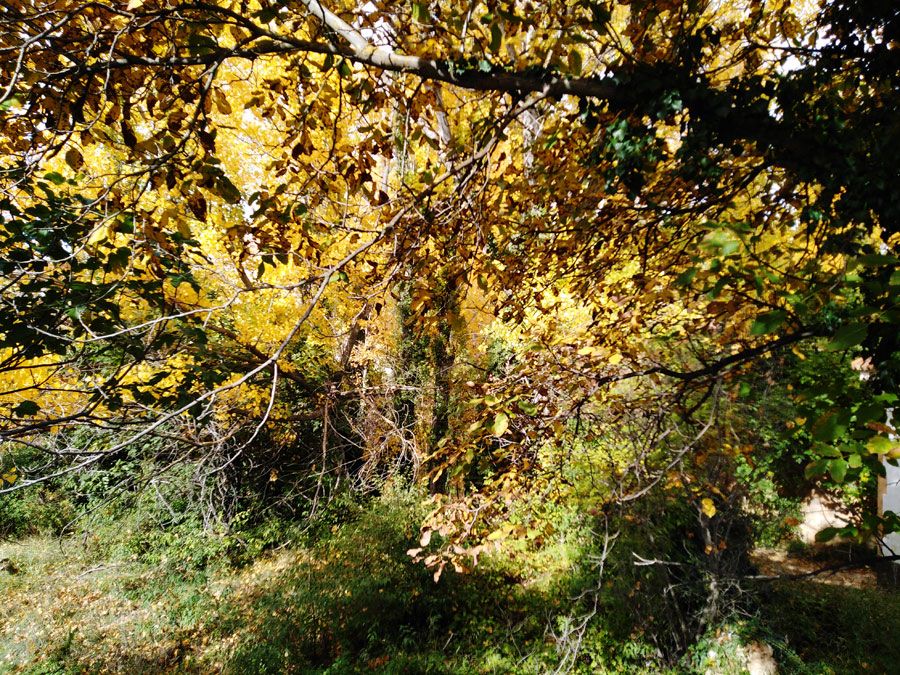 turismo cultural excursiones grupos ademuz adzucats