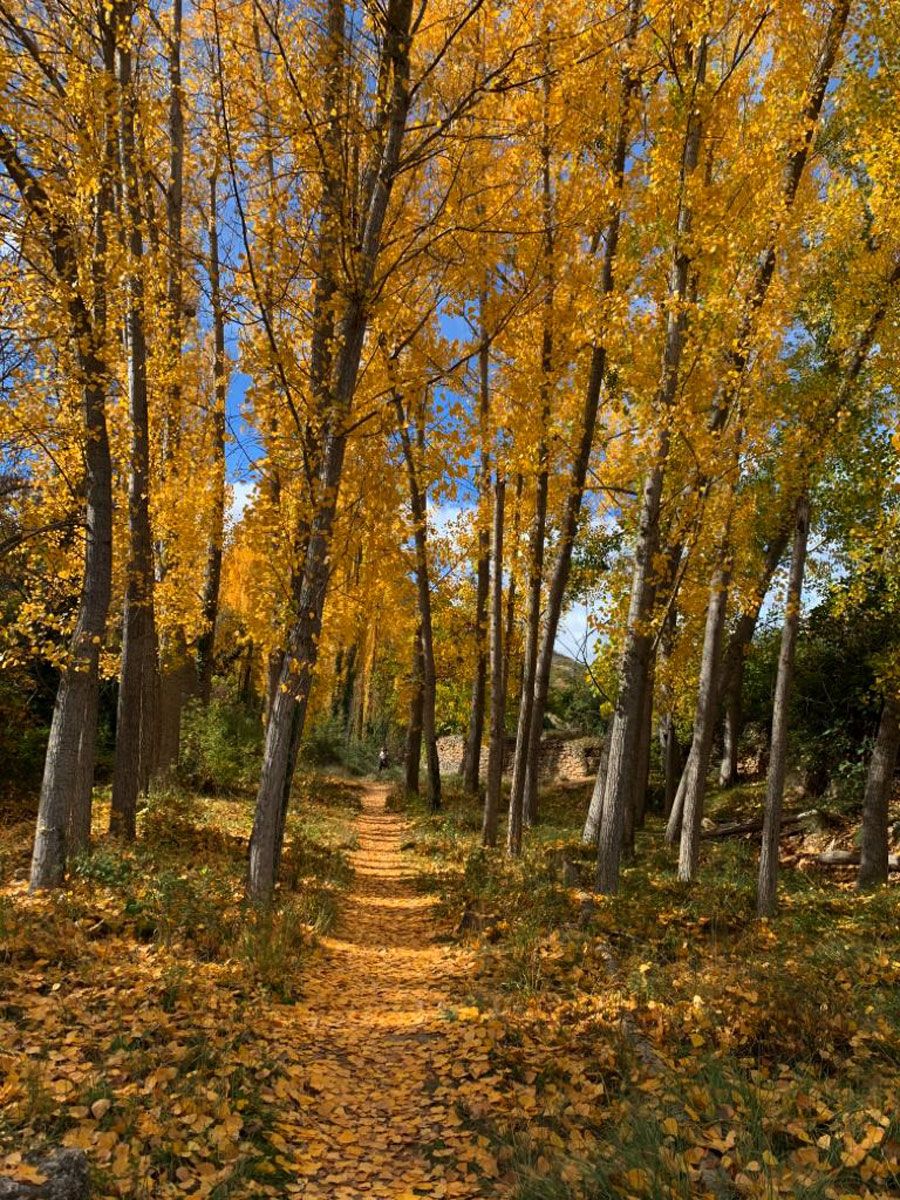 turismo cultural excursiones grupos ademuz adzucats