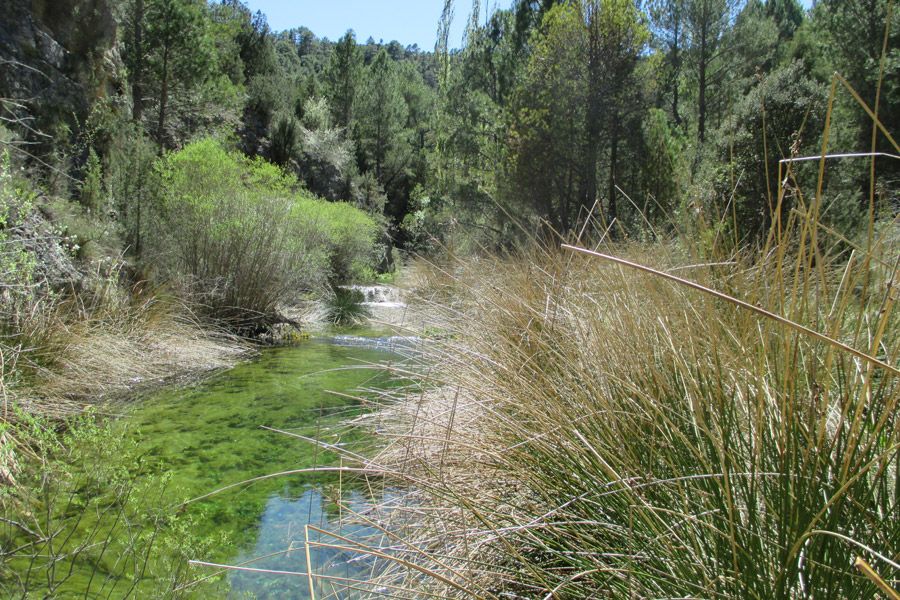 turismo cultural excursiones grupos ademuz adzucats
